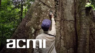 Unlocking Works of Nature with Marshmallow Laser Feast