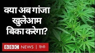 Ganja या Hash के Business को बढ़ाने में दुनिया के कई देश क्यों लगे हैं? Duniya Jahan (BBC Hindi)