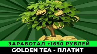 Golden Tea вывод денег 2024 (экономическая игра с выводом денег голден ти)