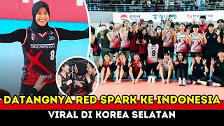 “Gara Gara Mega, Nama Indonesia VIRAL di Korea” DATANGNYA RED SPARK KE INDONESIA!!!
