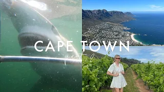 CAPE TOWN PT. 2 | shark diving, winelands, south africa travel vlog | Kelsey This Year