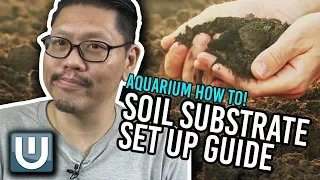 Soil Substrate Aquarium Guide - Get EXPLOSIVE Growth!