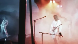 (clip) Queen - Live at Hyde Park - new 16mm footage clean up