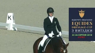 25.08.2018: "Equides Dressage Cup" змагання з виїздки, 3 етап, Final YH-4, YH-5-F