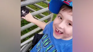 FUNNY VINE ★ Животные нападают на детей за еду в зоопарке #2 ¦¦ Funny Kids and Animals Video