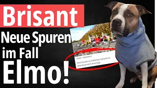 Tödlicher Hundeangriff: Joggerin auf Feld verstorben