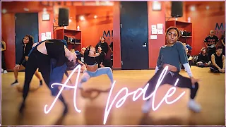 Kaycee Rice + girls & Charlize Glass - ROSALÍA - A Palé - Kyle Hanagami Choreography