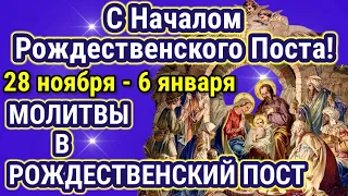 Молитвы в день начала Рождественского поста и на каждый день. ГОСПОДИ ПОМИЛУЙ!