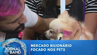 De advogado animal a cat café: conheça os negócios em torno do mundo pet | Jornal da Band