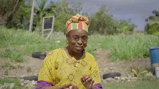 Bush Tea, Herbs, Plants and Barbadian Botanical Stories Ep.1