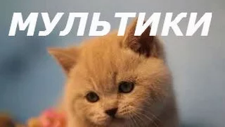 Мультфильмы для детей "Сказка про котенка Лапочку, как у него заболел животик"
