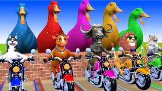 5 Giant Duck, Monkey, Piglet, lion,hero cars,dog, elephant, Sheep, Transfiguration funny animal 2023