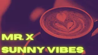 Mr. X - Lost Summer | Sunny Vibes Beat Mix - May 2024 #beats #lofi #chillvibes #djset #chillbeats