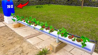 Super Idea | Strawberry Growing System Construction with PVC Pipe