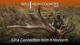 Connection With A Monarch