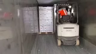 Loading lemons into a 40 refrigerator container
