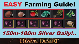*EASY* Farming Guide!.. 150-180m+ Daily for 15-20 Minutes of Effort!.. [BDO, Black Desert Online]