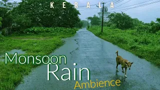 Monsoon Rain Ambience in Kerala / Walking in rain with umbrella sounds for sleeping / 4K ASMR