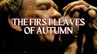 The First Leaves Of Autumn  │ Finbar Furey