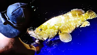 GIANT DEEP SEA GROUPER FISHING AT NIGHT Wahoo Catch And Cook (Upgrading My Car) - Ep 210