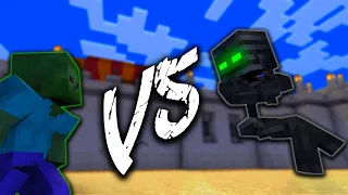 Wither Skeleton VS Zombie Fighting Tournament - Minecraft Animation