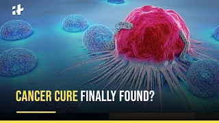 Cancer Cure Finally Found?