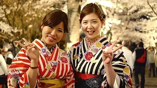 Moments in Kyoto - Ohanami | Cherry Blossom Viewing Kyoto Japan お花見 京都の桜 夜桜見物 京都観光