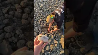 Catching a Real Life Pokemon