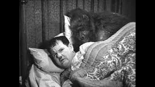 Laurel & Hardy The Chimp 1932 Funny Stan and Ollie