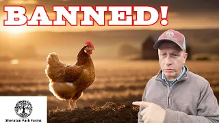 They Want To TAKE Your Chickens