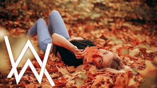 Alan Walker Style - Autumn vibes🎵🍁