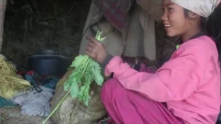 Green vegetables recipe for making food ll Primitive technology