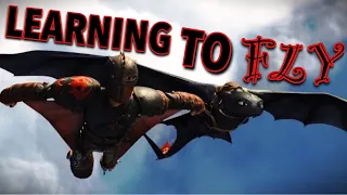 How To Train Your Dragon - Learning To Fly