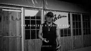 The Princess X Nobody Else (D!NAMO Mash-Up)