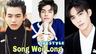 Song Wei Long Lifestyle, Biography (A League of Nobleman) Girlfriend, Age, Height, Weight, Facts
