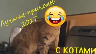 Лучшие приколы 2017 с котами.Смешные коты и кошки.Приколы с котами