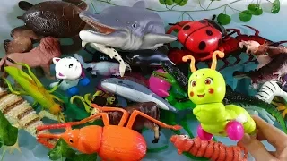 Learn Colors with Zoo Animals and Farm Surprise Toy for Kid Child with Foam Beads