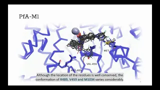 Eduardo Mayo MScreen: Molecular docking benchmarking made easy