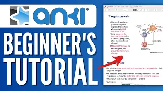 How to Make Anki Cards Fast 2024