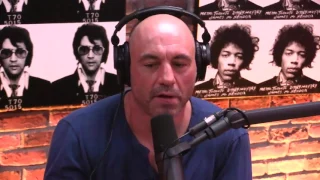 Joe Rogan on the Kathy Griffin/Donald Trump Severed Head Photo Controversy