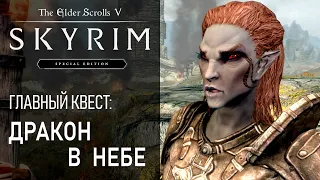 #55 Дракон в небе. Маг vs Мирмулнир. Компаньон Лидия. Главный квест Skyrim. Прохождение игры Скайрим