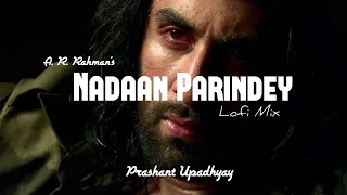 Nadaan Parindey - A. R. Rahman & Prashant Upadhyay | Lofi Mix (Slowed & Reverbed) | Bollywood Lofi