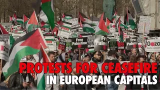 Protests in European capitals in support of Palestinians, calling for ceasefire