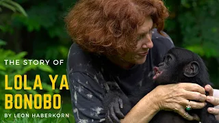 Docu: The story of Lola ya Bonobo