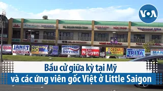 Bầu cử giữa kỳ tại Mỹ và các ứng viên gốc Việt ở Little Saigon | VOA Tiếng Việt