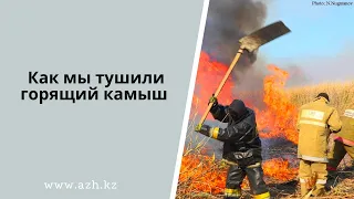 Огонь против огня и тяжкая работа «хлопушками»: как мы тушили горящий камыш