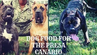 Best Dog Food for Perro de Presa Canario #Bulkup