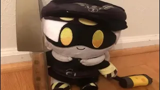 How to take care of a N plush