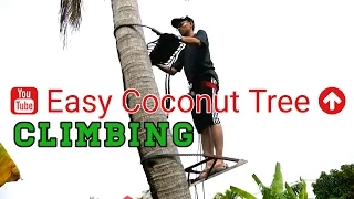 Tree Climbing Techniques Tutorial | How To Climb Tree