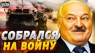 Дружок Путина слетел с катушек! Лукашенко готовится к войне с НАТО | Шейтельман